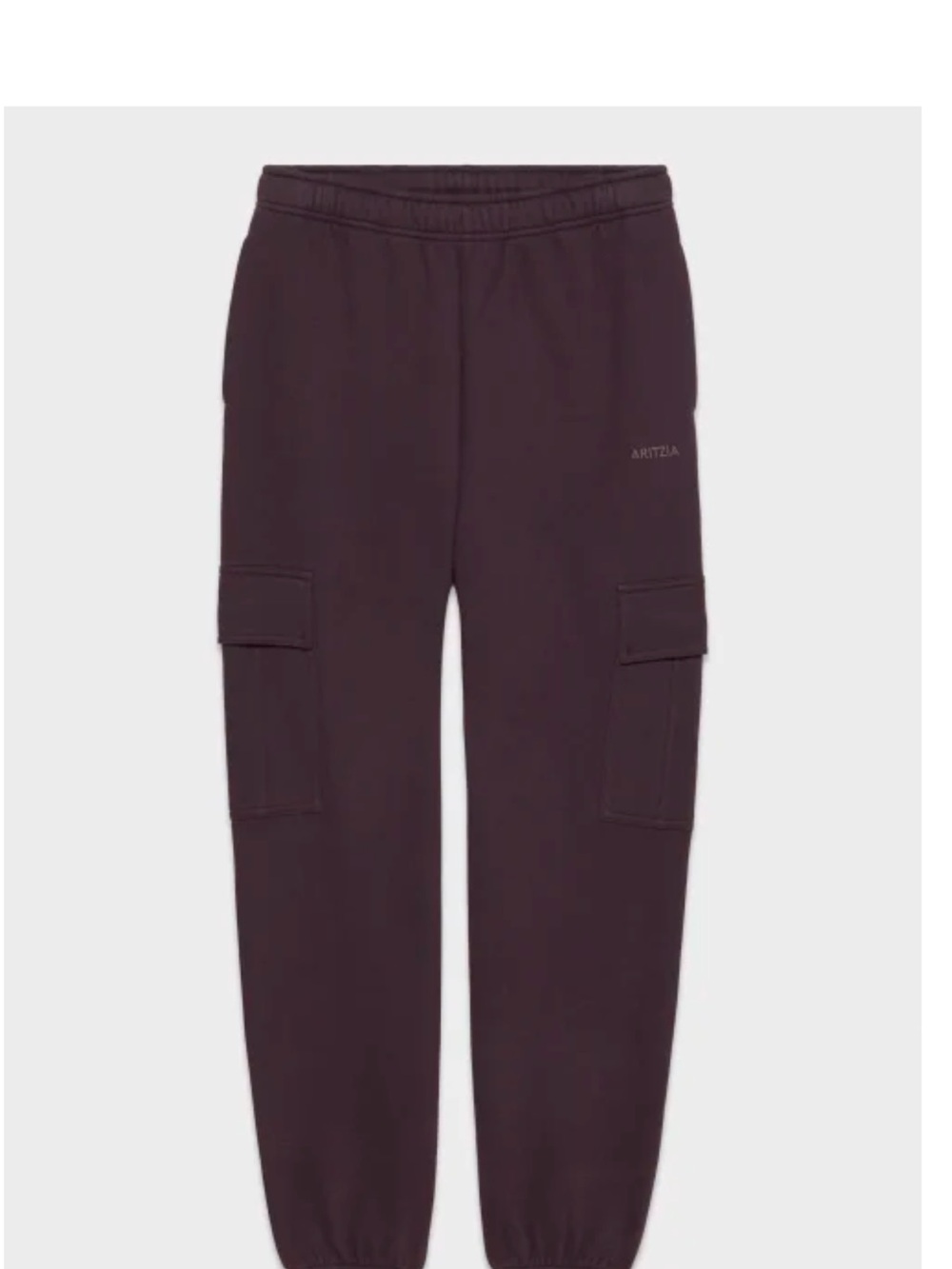 Aritzia Cozy Sweatfleece Mega Cargo™ Jogger